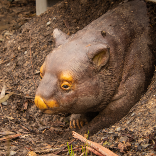 The Wombat statue peeks out from his burrow under the walkway